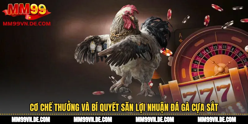 Cơ chế thưởng và bí quyết săn lợi nhuận đá gà cựa sắt