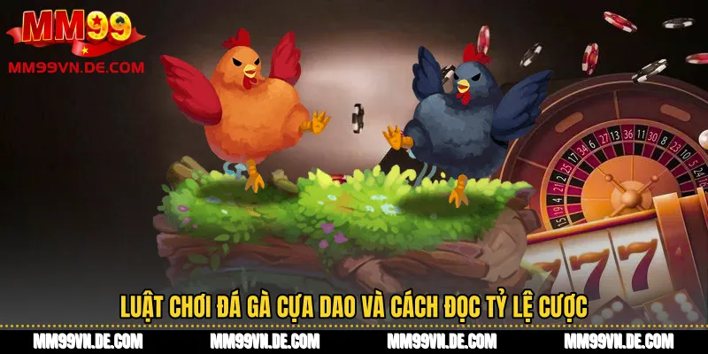Luật chơi đá gà cựa dao và cách đọc tỷ lệ cược