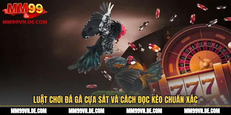 Luật chơi đá gà cựa sắt và cách đọc kèo chuẩn xác